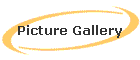 Picture Gallery