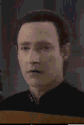 data1.gif (6822 bytes)