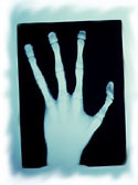 lilxhand.jpg (9994 bytes)